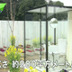 Who Cares about Japan's Large Toilet, Says Guinness World Records
